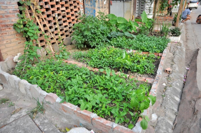 Người dân tự quây rào, đổ đất rồi xây gạch hay dùng các miếng gỗ để tạo nơi trồng rau.