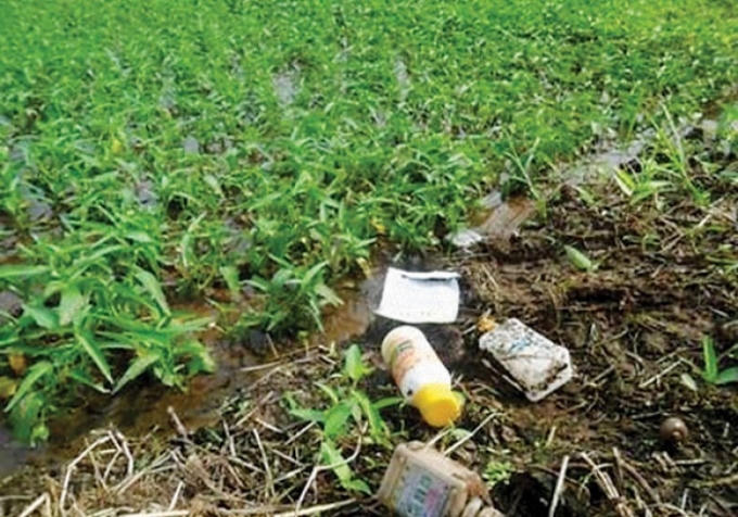 Vỏ một số loại thuốc trừ sâu được vứt ngay trên bờ ruộng của một vùng trồng rau an toàn.