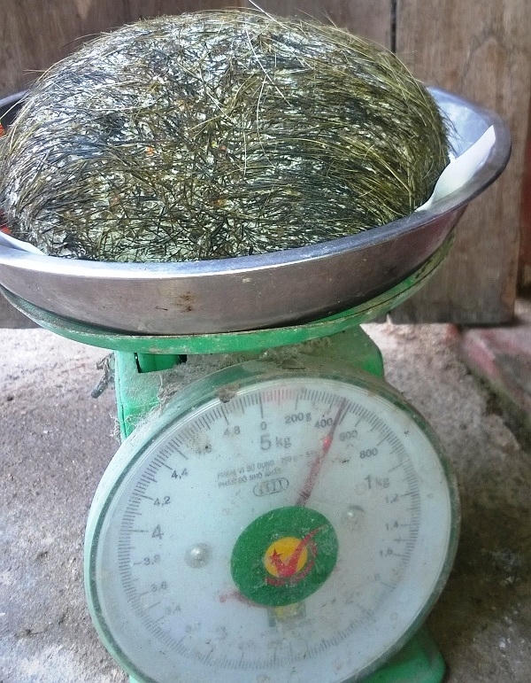 Vật lạ có trọng lượng hơn 400g, lớp ngoài có lông và có hương thơm của thuốc bắc.