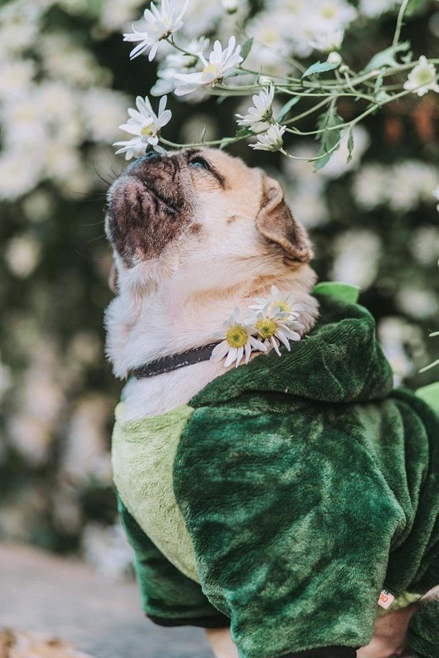 Cộng đồng mạng