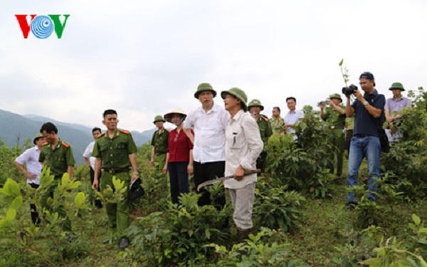 Theo phản ánh của người dân địa phương, rừng ở khu vực này bị chặt phá đã nhiều năm nhưng không bị chính quyền ngăn cản.