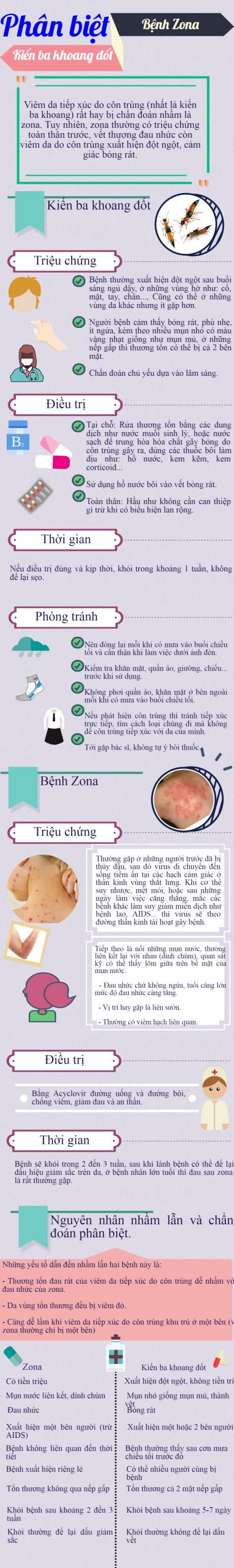 Infographic: Phân biệt bệnh zona và khi bị kiến ba khoang đốt