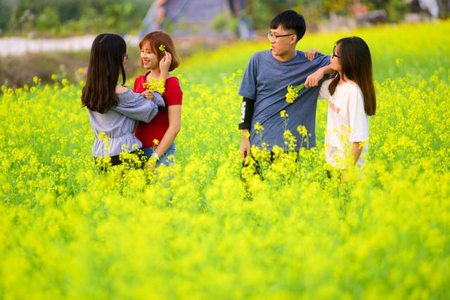Các bạn trẻ đang tranh thủ tạo dáng trên cánh đồng hoa cải lãng mạn, hút tầm mắt. Những bông hoa được cài lên mái tóc làm duyên.