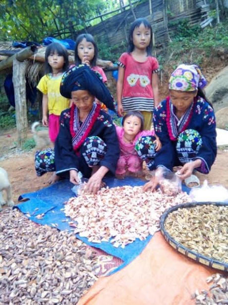 Những đứa trẻ này có mặt trên đời đều nhờ bài thuốc quý của bà.