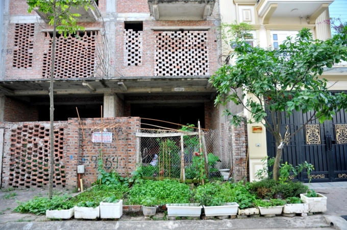 Rau được trồng cả trong những thùng xốp, xếp tràn trên vỉa hè các căn hộ.