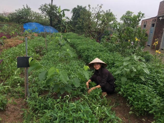 Công việc hàng ngày như thế này khiến họ gần gũi, chan hòa và ước muốn làm nông nghiệp sạch.