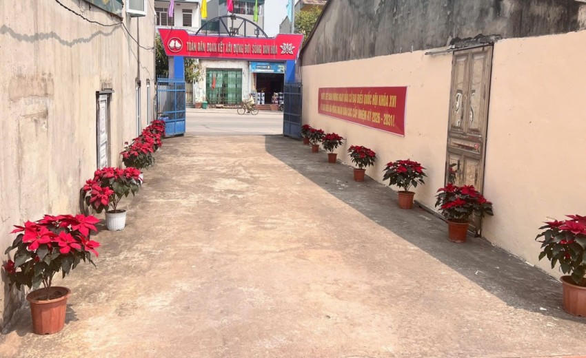 Các con đường tuyến phố được trang hoàng chào mừng sự kiện trọng đại sắp diễn ra.