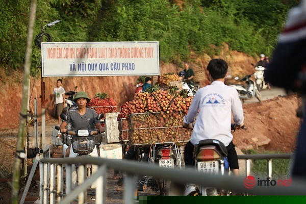 Chiếc cầu là tuyến đường ngắn nhất cho người dân Lục Nam đến được chợ đầu mối bán vải ở huyện Lục Ngạn. Rất nhiều xe chở vải cồng kềnh nối đuôi nhau khiến cho việc di chuyển trên cầu khá khó khăn vào lúc sáng sớm.