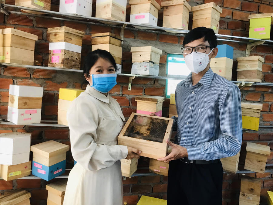 Người nuôi có thể tách đàn vào một tổ ong dạng hộp quà để tặng khách cả tổ ong, có thể dùng để chưng, ngắm và thỉnh thoảng thu mật, keo ong để dùng (Ảnh: Đức An).