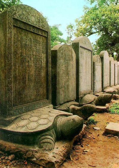 Hình ảnh rùa đội bia là biểu tượng cho sự bền vững. Ảnh: internet.