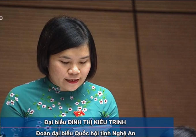 Đại biểu Đinh Thị Kiều Trinh, Đoàn Đại biểu Quốc hội Nghệ An