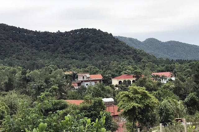 Theo GS Đặng Hùng Võ, đất rừng phòng hộ trước đây chỉ được chuyển nhượng cho những người trong xã