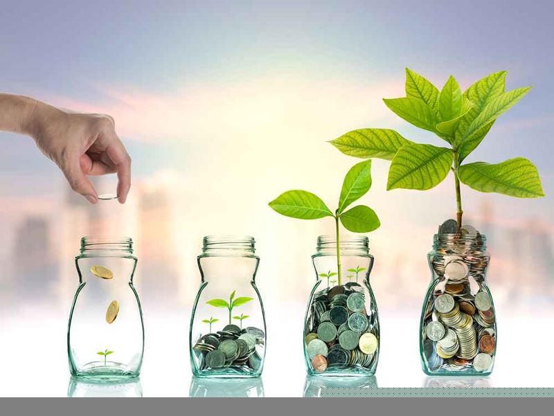 Nếu đầu tư thông minh, tiền sẽ tự sinh sôi nảy nở