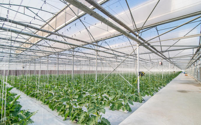 Độc đ&aacute;o m&ocirc; h&igrave;nh du lịch &ndash; n&ocirc;ng nghiệp 5 sao đầu ti&ecirc;n của Việt Nam