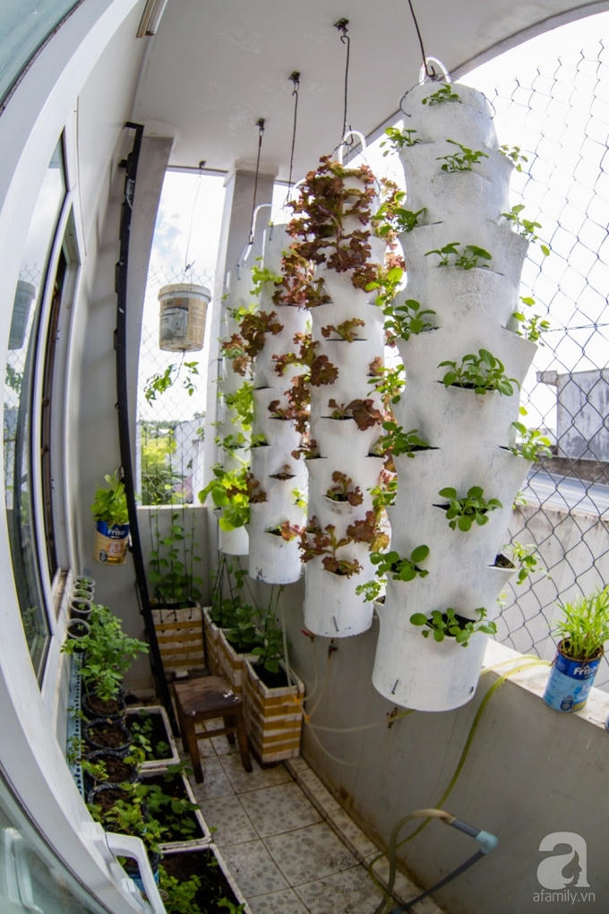 Anh Biển c&ograve;n thiết kế trụ xoay để tiện cho việc chăm s&oacute;c v&agrave; tưới c&acirc;y.