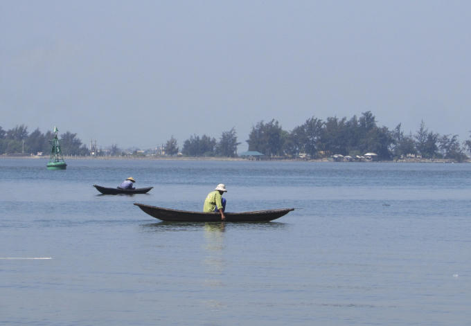 Một số ngư dân đã bắt đầu ra cào thăm dò trìa để đoán ngày thu hoạch. 