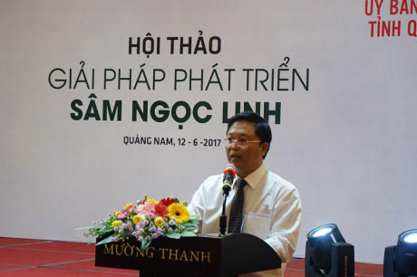 Ông Lê Trí Thanh - Phó Chủ tịch UBND tỉnh Quảng Nam phát biểu tại Hội thảo. Ảnh: Trương Hồng
