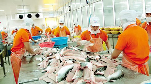 Kim ngạch xuất khẩu chính thức cán mốc 200 tỷ USD. (Ảnh minh họa: KT)