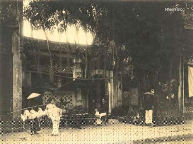 Hình ảnh Đình Cổ Vũ xưa kia với cây đa cổ thụ trước sân đình. Ảnh tư liệu