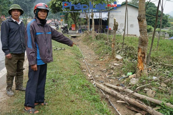 Ông Giàng Mí Sính chỉ vết xước trên gốc cây nơi con trai gặp nạn. (Ảnh: Tiến Vũ)