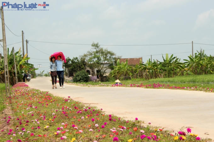 Đường vào làng trở nên lãng mạn khi hai bên rực rỡ sắc hoa.