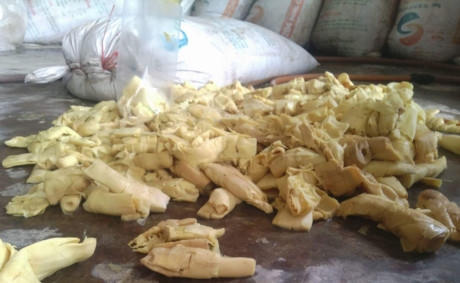 Măng ngâm hóa chất nhuộm vải đổ trên nền nhà xi măng. Ảnh: T.C