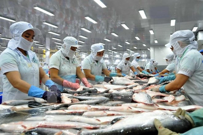 Bản tin Kinh tế Plus: Mũ bảo hiểm giả, kém chất lượng bán tràn lan ngoài đường
