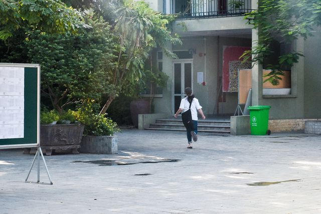 tov-9091-1561509255054