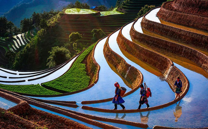 Vẻ đẹp mùa nước đổ ở Mù Cang Chải (Yên Bái).
