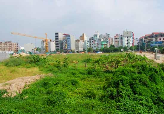 Ảnh minh họa.