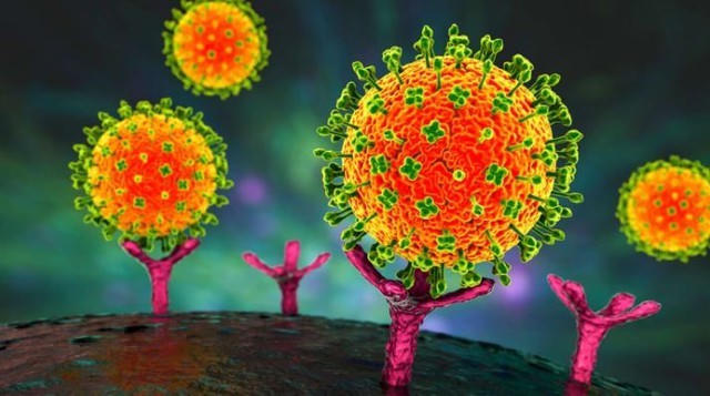 Sở Y tế TP HCM tăng cường giám sát, chủ động phòng chống bệnh do virus Nipah. (Ảnh minh họa)
