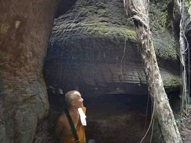 5.