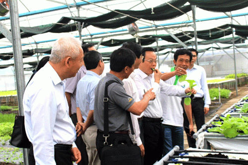 Phó Chủ tịch Quốc hội Phùng Quốc Hiển (giữa) nếm thử rau sạch ngay tại nhà vườn ở Củ Chi, TP.HCM.  Ảnh: K.P