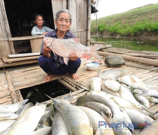 Nỗi buồn lộ rõ trên từng khuôn mặt của những người dân nuôi cá lồng xã Thành Vinh.