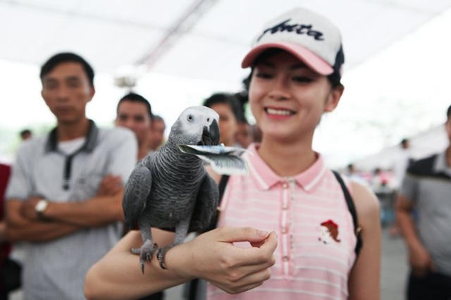 Nhiều khán giả thích thú mang tiền vào thử chú vẹt..