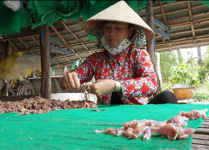 Để có được những "vũ nữ chân dài" thơm ngon, bắt mắt, phải trải qua nhiều công đoạn. Ảnh: M.A.