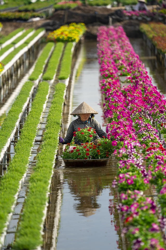 Bức “Taking care of flowers” (Chăm sóc những khóm hoa) của @anhtrungqng