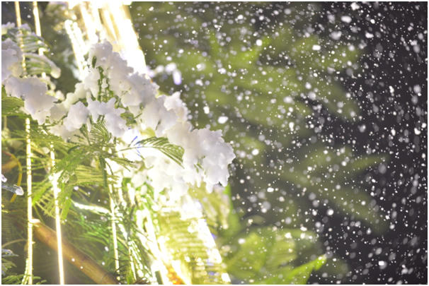 Khung cảnh mưa tuyết rơi khiến người xem cứ ngỡ rằng mình đang ở một trời Âu chứ không phải ở ngay giữa Thủ đô.