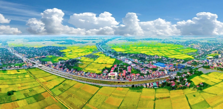 Vùng đồng bằng sông Hồng tiếp tục giữ vai trò là vùng động lực tăng trưởng quan trọng, đóng góp tới 36,41% vào tăng trưởng chung của cả nước. (Ảnh: IT).