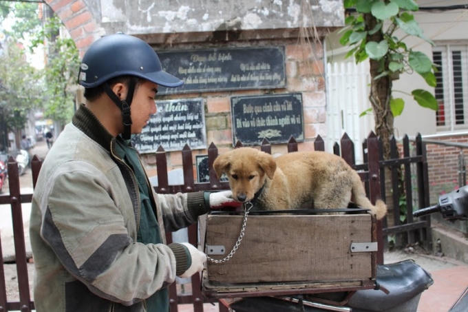 Không chỉ làm lễ an táng cho chó, mèo mà ông Sinh còn là "bác sĩ" chăm sóc, chữa bệnh cho động vật.