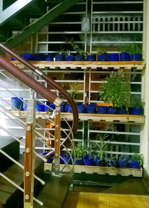 Anh có thể tận dụng cả những diện tích khá nhỏ trong nhà để trồng cây bằng máng nước dài và hẹp.