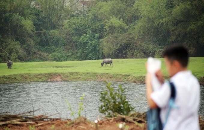 Khung cảnh thi&ecirc;n nhi&ecirc;n, một điều kh&aacute; th&uacute; vị đối với những c&aacute;c em học sinh khi lần đầu tới đ&acirc;y.
