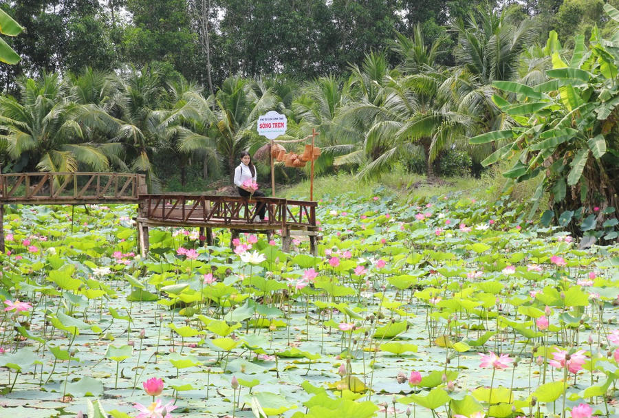 Du khách trải nghiệm trong Khu du lịch sinh thái Sông Trẹm trên địa bàn xã Nguyễn Phích (tỉnh Cà Mau).