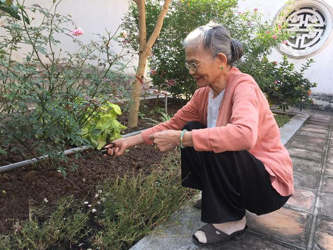 Bà Trương Thị Xuyến – một “cô gái" làng hoa Ngọc Hà chính gốc