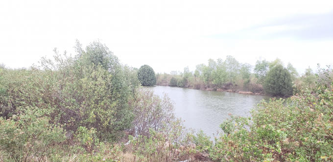 Khu đất của gia đình bà Kính khiếu nại.