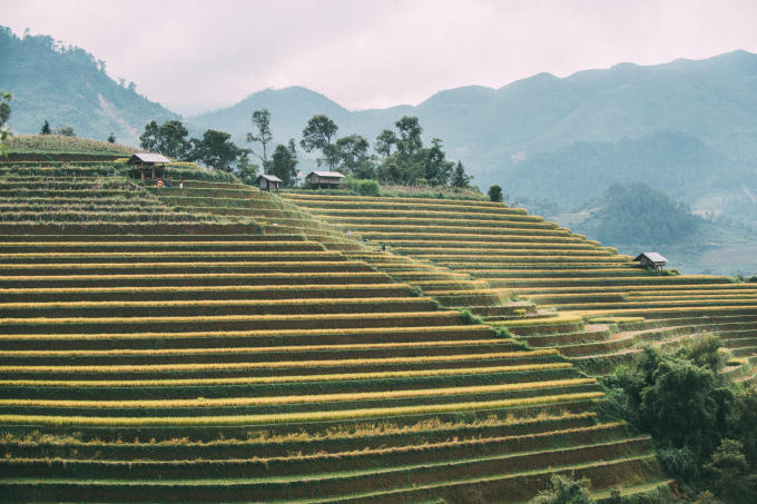 Những chiếc ruộng bậc thang tầng tầng, lớp lớp xếp chồng lên nhau uốn cong theo dạng địa hình của núi rừng Tây Bắc.
