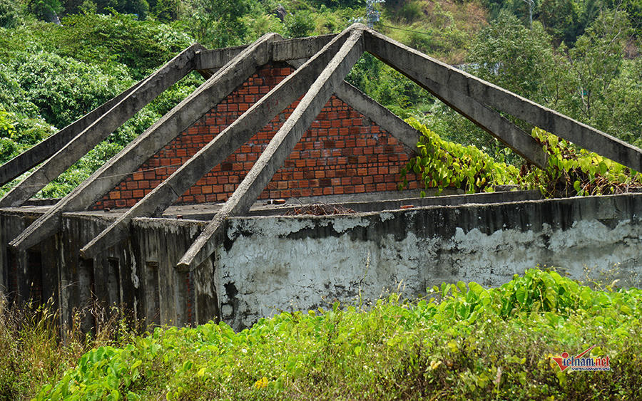 Xung quanh các ngôi biệt thự cỏ lau mọc um tùm, nơi đây được ví như “biệt thự ma”