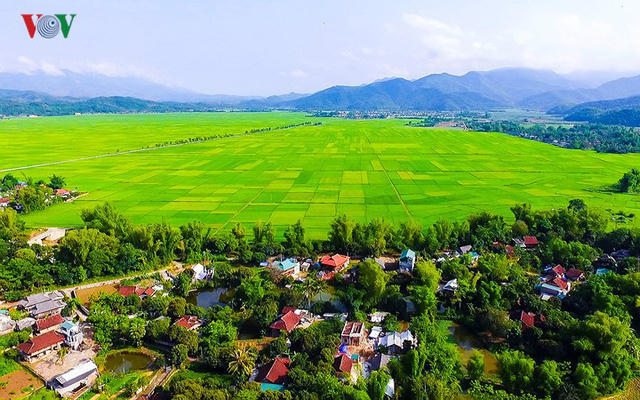 …và cánh đồng Mường Thanh trù phú.