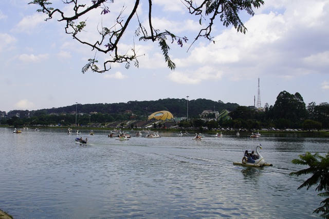 Nhiều du khách đạp vịt vãn cảnh trên hồ Xuân Hương 