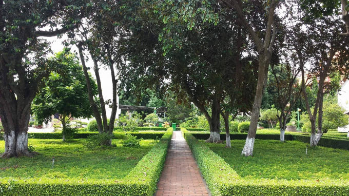 Ngoài ra, trong khu di tích còn nhiều loại cây như cây si lâu năm và các dãy cây được cắt tỉa gọn gàng. Tất cả hiện vật, cây cối tạo cho ngôi trường cảm giác thân thiện, gần gũi.